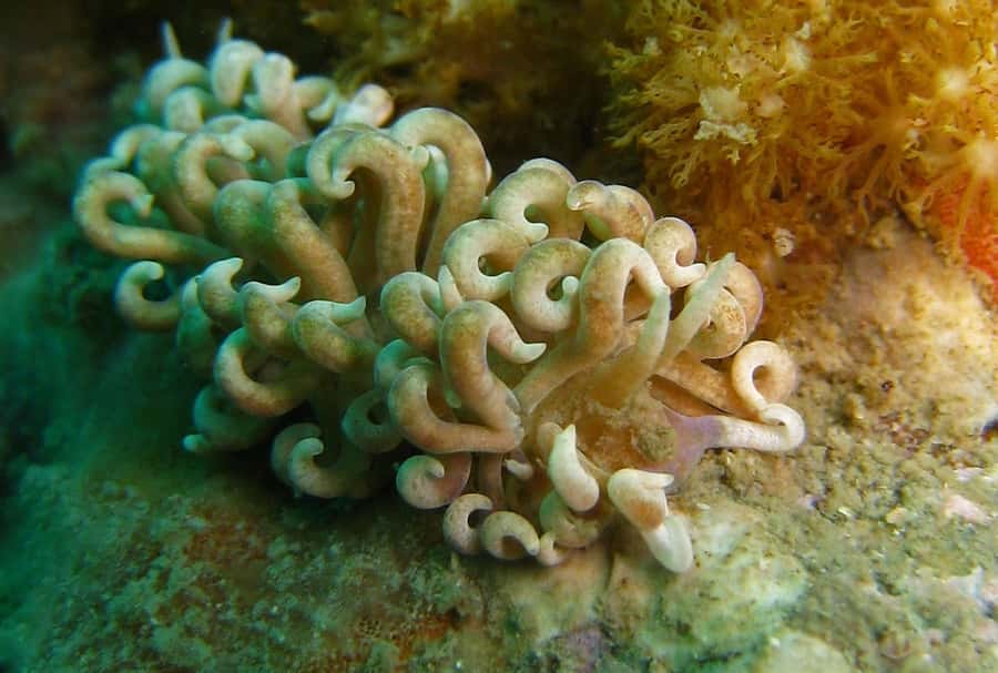 From Koh Kood: Certified Dive Trip - Lunch on the boat: the fuel stop you’ll actually appreciate
