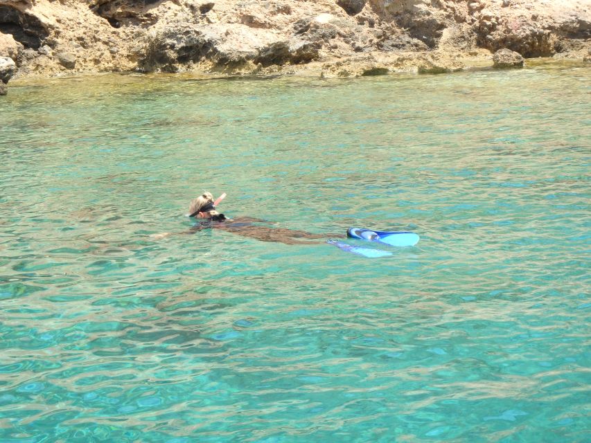 From Kos: Pserimos Island Snorkeling Cruise by Diving Boat - What you’ll see under the surface (and how to spot it faster)