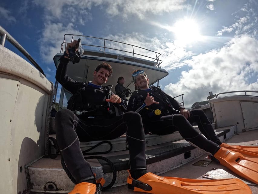 From Naha Scuba Diving Trip in Kerama(for certified divers) - Kerama National Park underwater time: sites, sea life, and real visibility