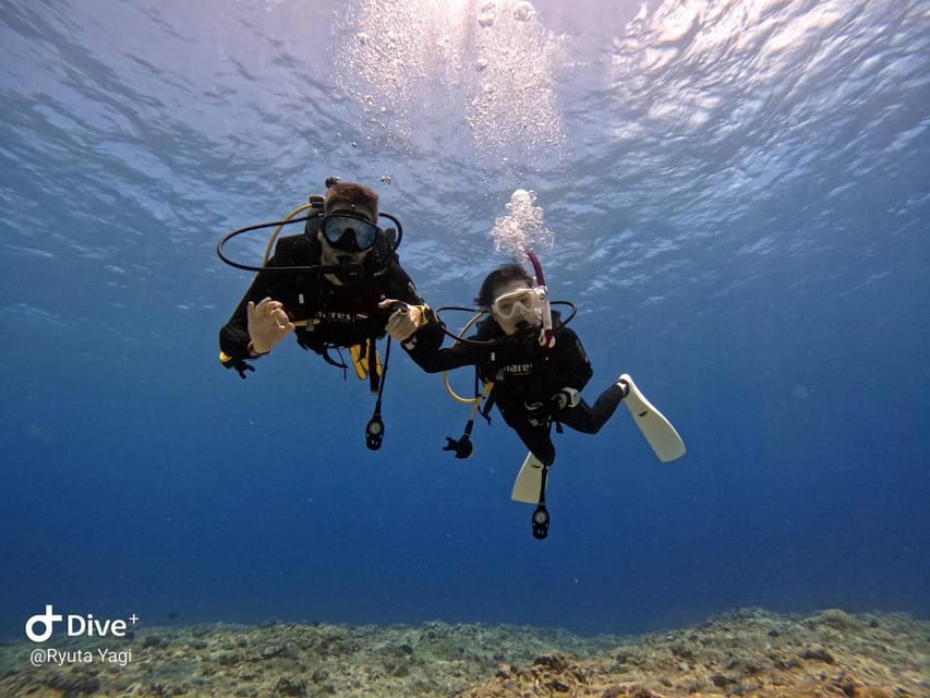 From Naha Scuba Diving Trip in Kerama(for certified divers) - Lunch and the gap between sessions: planning matters more than you think