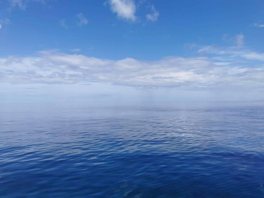From Naha Scuba Diving Trip in Kerama(for certified divers) - Included equipment and the wetsuit reality check