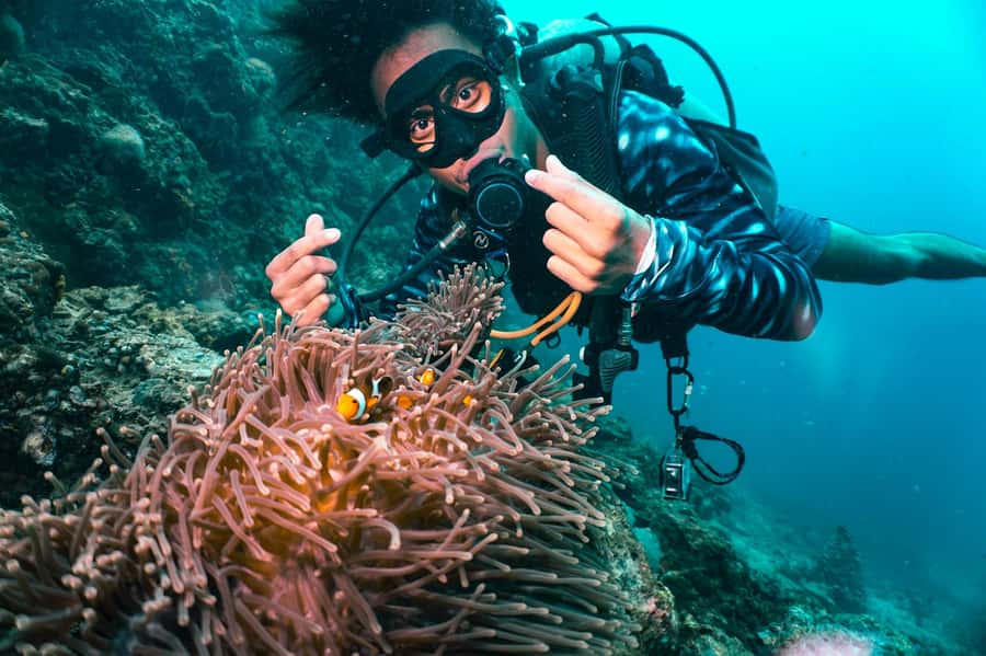 From Phi Phi: Beginner Scuba Diving Day Trip with 2 Dives - Price and Logistics: What You’re Really Paying For