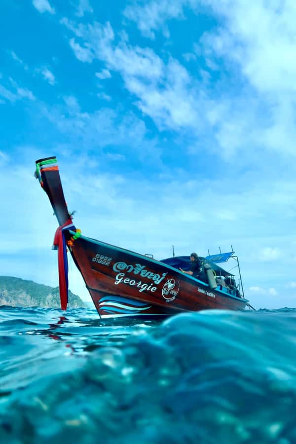 From Phi Phi: Beginner Scuba Diving Day Trip with 2 Dives - What You’ll Likely See Underwater (And Why It Can Vary)