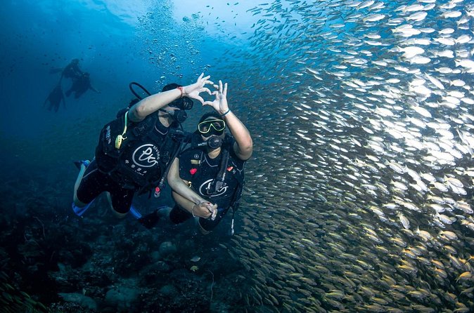 From Phi Phi Don | Half Day Discover Scuba Diving 2 Dives - Boat Time, Tea/Coffee, and Thai Lunch Between Sessions
