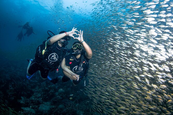 From Phi Phi Don | Half Day Discover Scuba Diving 2 Dives - Price and Value: What You’re Really Paying For