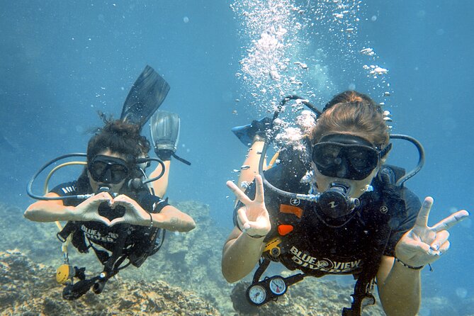 From Phi Phi: Half Day Discover Scuba (2 Dives) - Key highlights to know before you go
