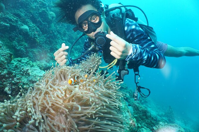 From Phi Phi: Half Day Discover Scuba (2 Dives) - The boat route around Phi Phi: Ko Phi Phi Le, Viking Cave, Maya Bay, and Ko Bida Nok