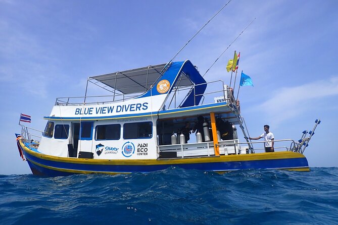 From Phi Phi: Half Day Trip for Certified Divers (2 Dives) - Why Blue View’s small-group format matters around Phi Phi