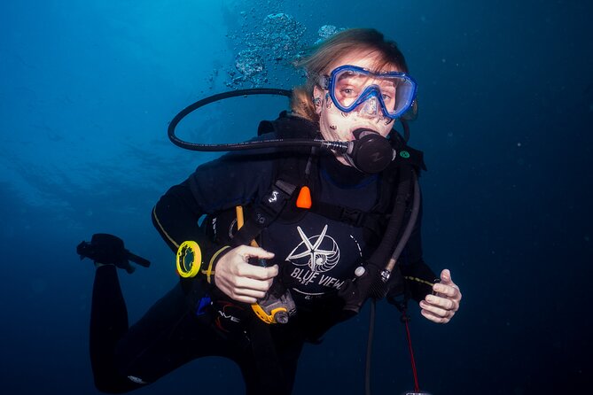 From Phi Phi: Half Day Trip for Certified Divers (2 Dives) - Who should book this scuba-friendly half-day and who should skip it