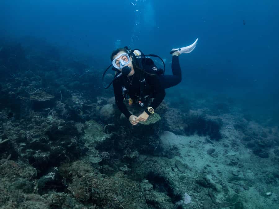 From Phi Phi: Half-Day Trip for Certified Divers (2 Dives) - Eco-minded diving rules that make a difference in real life