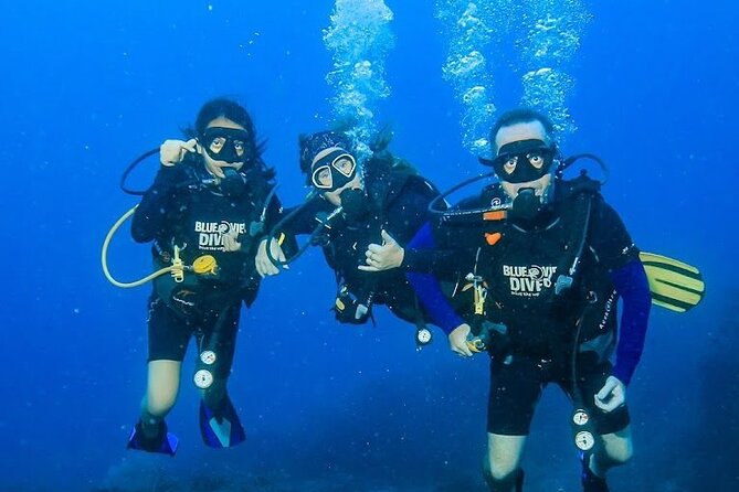 From Phi Phi: PADI Open Water Course <em>eLearning (2+ days) – Key things that make this course worth a look’ /></p>
<ul>
<li><strong>PADI eLearning before you arrive</strong>: plan around 8–12 hours of study at your own pace.</li>
<li><strong>Small class size (max 10)</strong>: more attention during skill practice and swim tests.</li>
<li><strong>Safety-focused, eco-minded coaching</strong>: reef care and low-waste habits are part of the curriculum.</li>
<li><strong>Boat outings built around marine life</strong>: local stops with a chance at turtles and sharks while you train.</li>
<li><strong>Flexible scheduling</strong>: you can request to start the same day you arrive, and the pace can adjust to ability.</li>
</ul>
<h2 id="ko-phi-phi-don-and-the-blue-view-setup-why-this-location-works">Ko Phi Phi Don and the Blue View setup: why this location works</h2>
<p><img width="669" height="446" decoding="async" src=