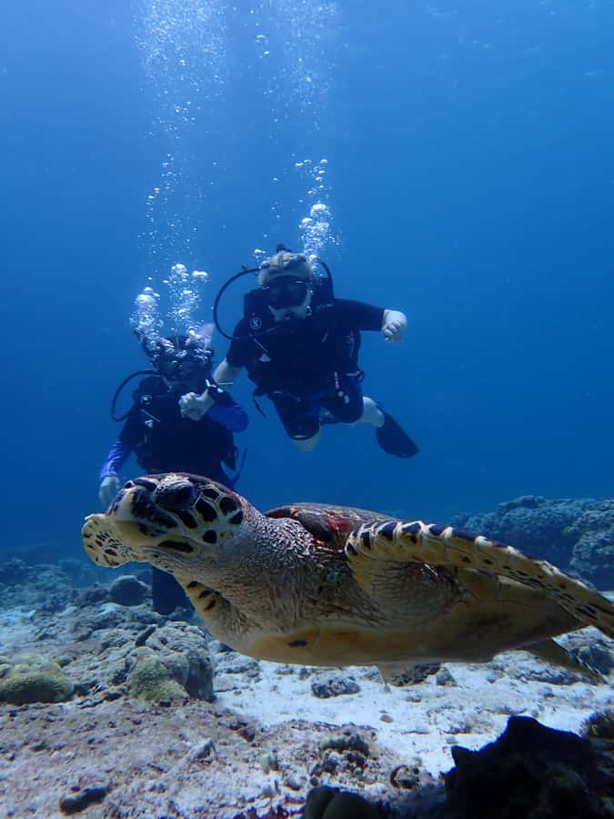 From Phuket: 3-Day SSI/PADI Open Water Diver Certification - Key Points You’ll Care About