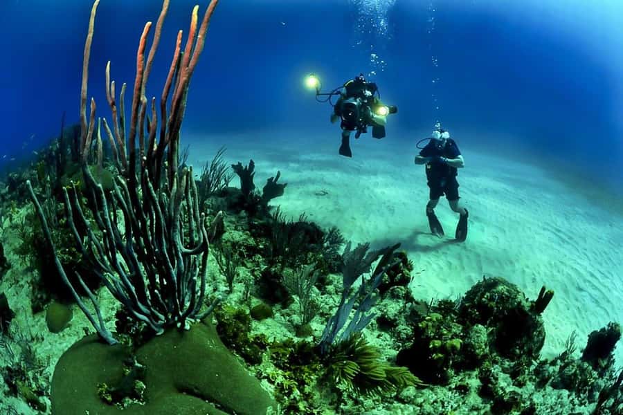 From Phuket: 3-Day SSI/PADI Open Water Diver Certification - Racha Noi (Day 3): The Third Session Adds Momentum