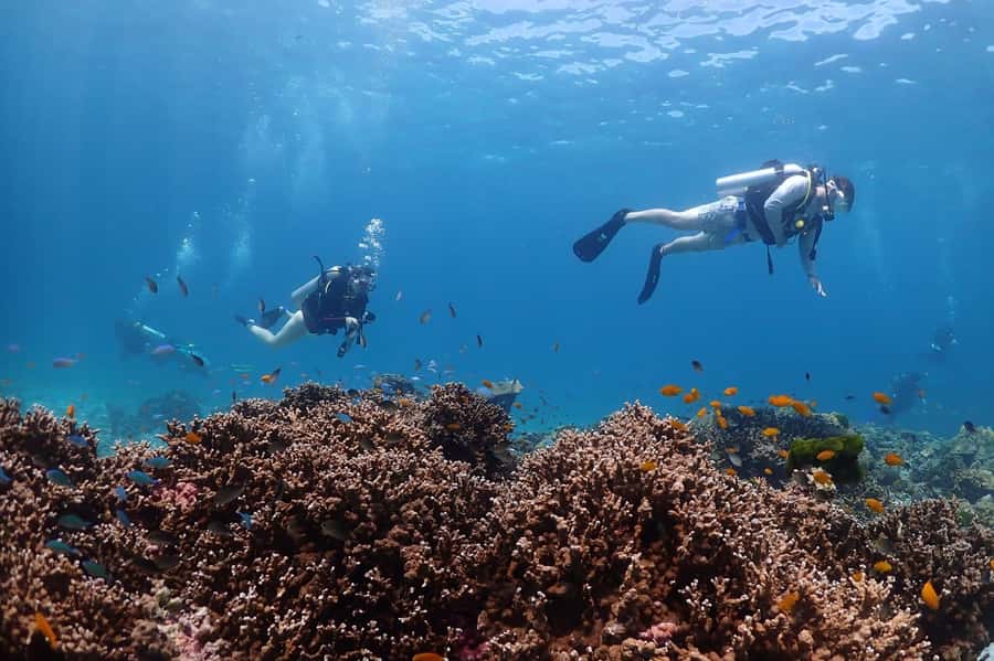 From Phuket: 3-Day SSI/PADI Open Water Diver Certification - Day 1 at Chalong Pool: Theory Meets Real-Life Skills
