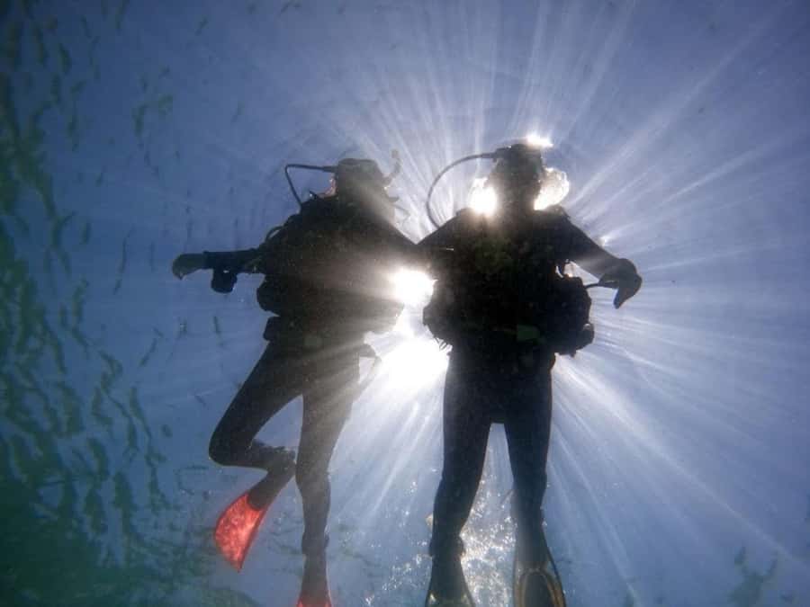 from Rio de Janeiro: Diving in Buzios - Instructor-Led Water Skills: Gear Check, Team Recognition, and Safety