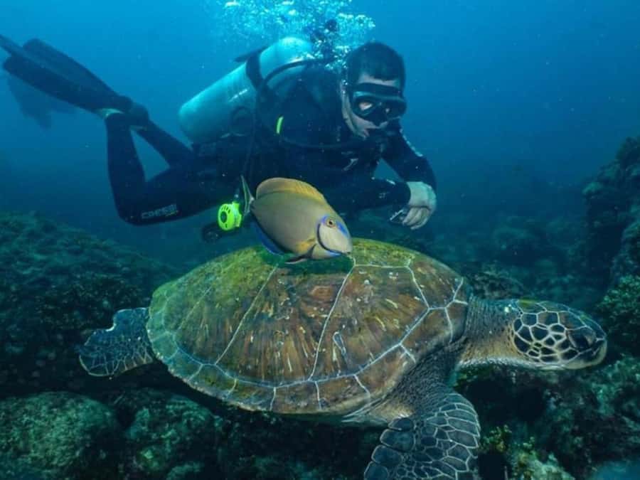 from Rio de Janeiro: Diving in Buzios - A Few Practical Tips Before You Leave