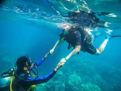 From Sharm: Luxury Diving cruise to Ras Mohammed with Lunch - Pickup from Sharm El-Sheikh: the part that decides if the day feels smooth