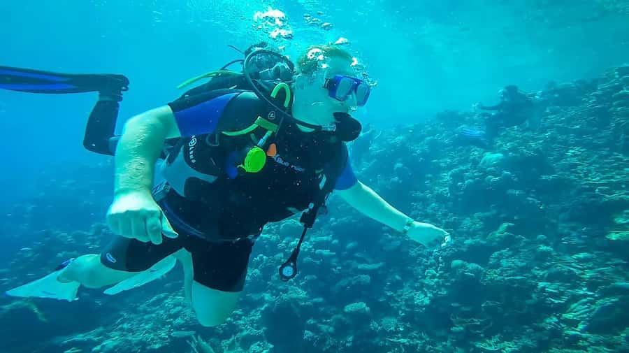 From Sharm: Luxury Diving cruise to Ras Mohammed with Lunch - Second underwater stop and lunch on board: how the day wraps up