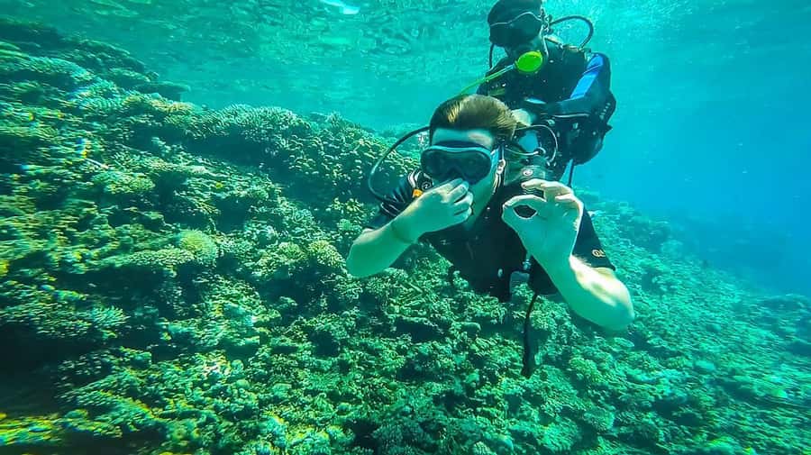 From Sharm: Luxury Diving cruise to Ras Mohammed with Lunch - Price and value check: what $54 actually buys you