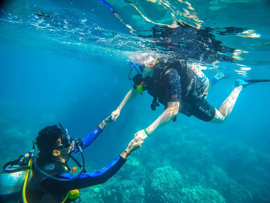 From Sharm: Luxury Diving cruise to Ras Mohammed with Lunch - Pickup from Sharm El-Sheikh: the part that decides if the day feels smooth