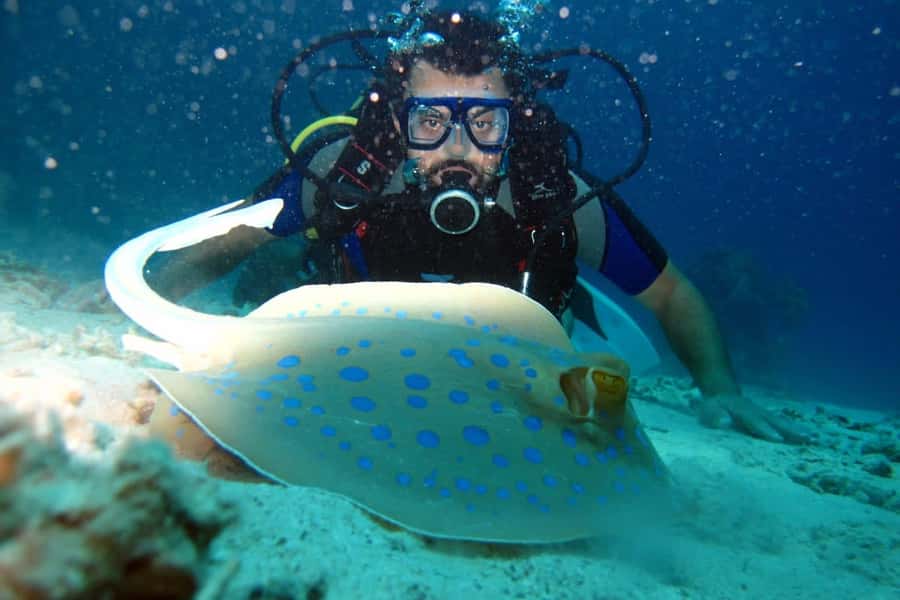 From Sharm: Ras Mohammed snorkeling cruise & optional diving - Who should book this cruise (and who should skip)