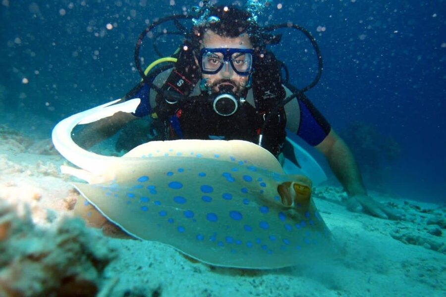 From Sharm: Ras Mohammed snorkeling cruise & optional diving - Snorkeling time around Sharm: how the stops are set up