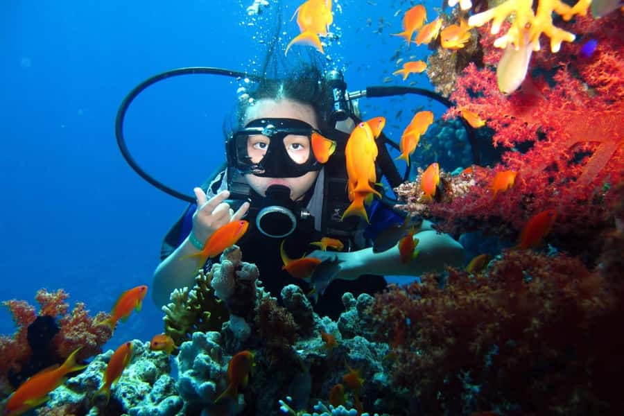 From Sharm: Ras Mohammed snorkeling cruise & optional diving - Price and value: what about $31 per person actually covers