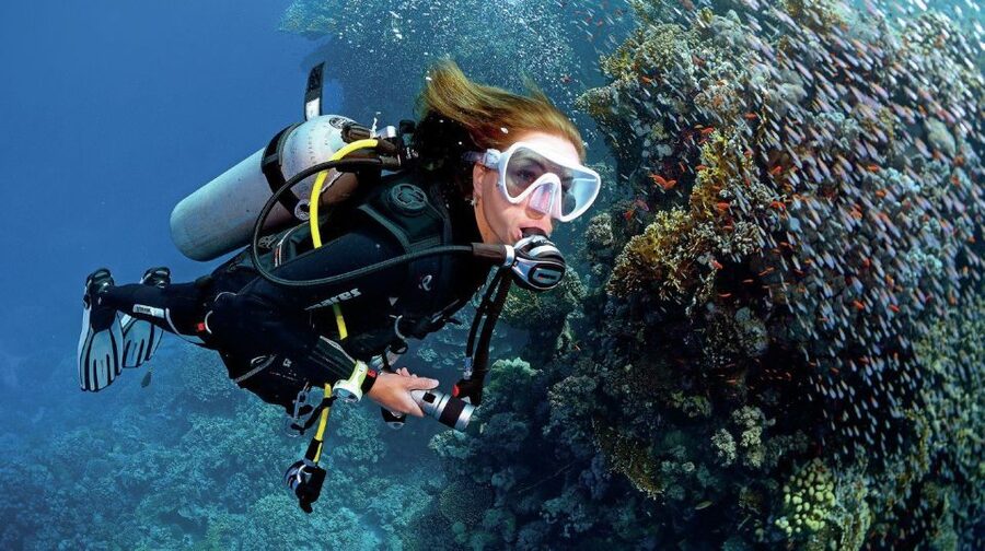 From Sharm: Ras Muhammed & White Island By Boat & intro Dive - Key points to know before you go