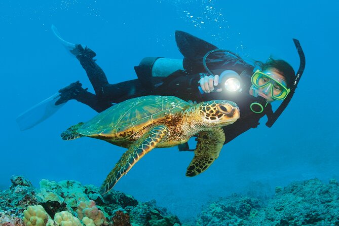 From Side, Alanya: Scuba Diving With 2 Time Dive & Lunch - Key things that matter on this Alanya scuba-and-snorkel day
