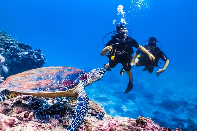 From Side, Alanya: Scuba Diving With 2 Time Dive & Lunch - Second underwater session at 7–8 meters: more air, more room to look
