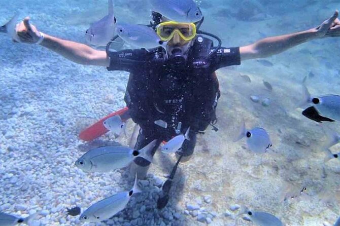 From Side, Alanya: Scuba Diving With 2 Time Dive & Lunch - Gear, insurance, and how safety is handled