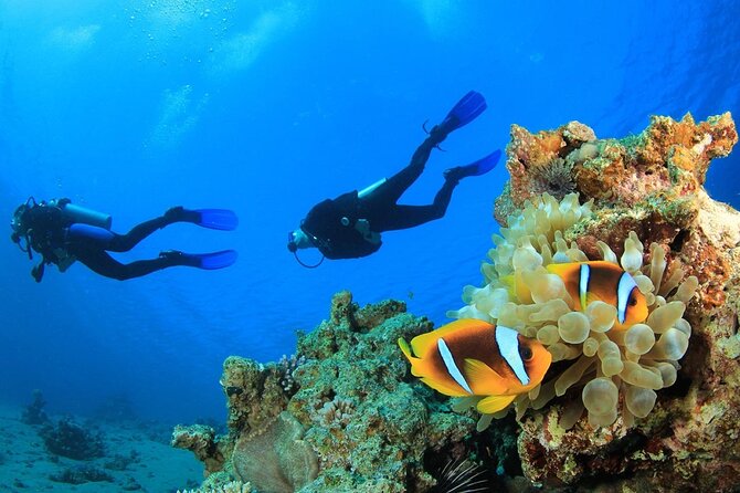 From Side, Alanya: Scuba Diving With 2 Time Dive & Lunch - Timing, boat life, and what the schedule feels like