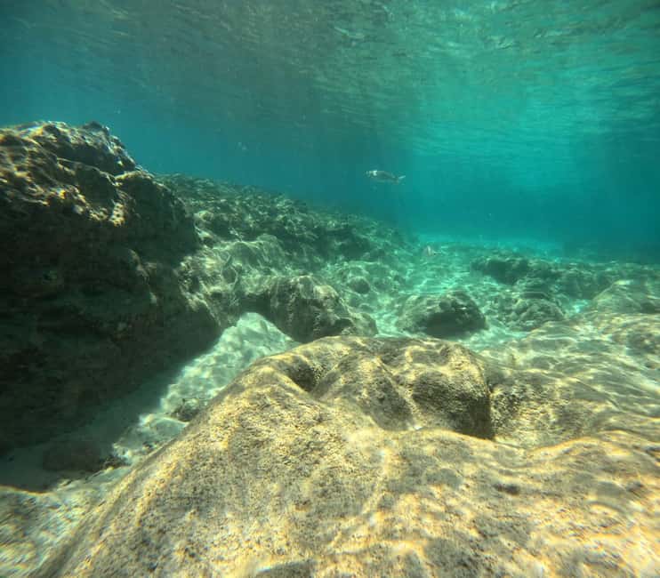Fuerteventura: First Scuba Experience – Calm 1:1 Dive - Key things that make this Morro Jable first session special