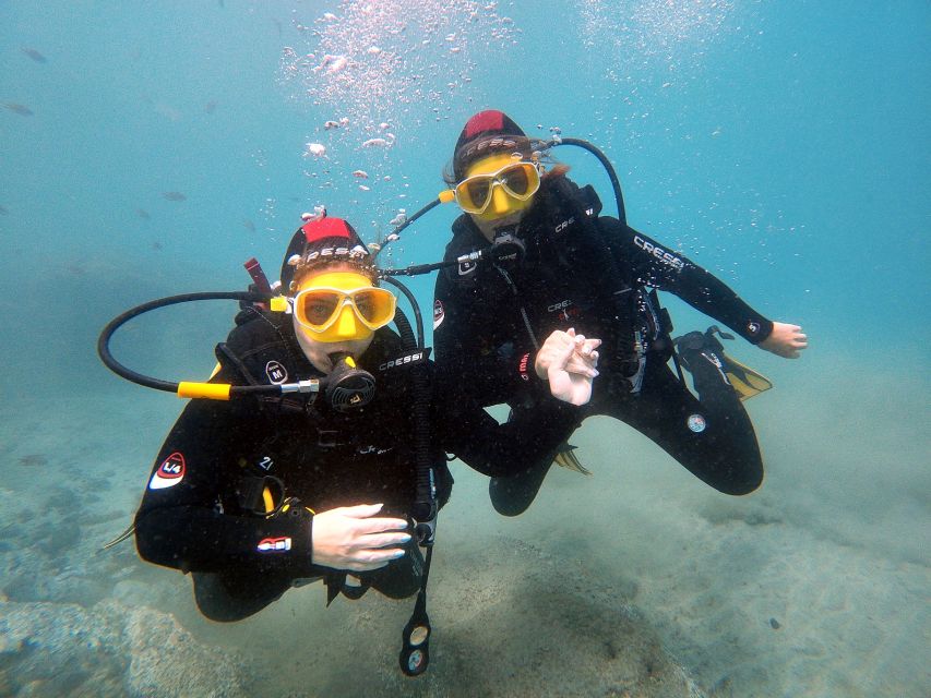 Fuerteventura: Introduction to Scuba Diving - Price and value: why $100 can be a fair deal here