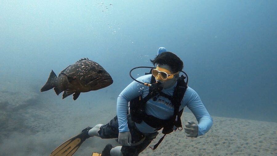 Fuerteventura: Introduction to Scuba Diving - Safety briefing in Costa Calma, then shallow-water practice