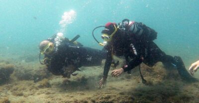 Fuerteventura: Introduction to Scuba Diving - Hotel pickup across Costa Calma to La Lajita (and the meeting-point detail that saves time)
