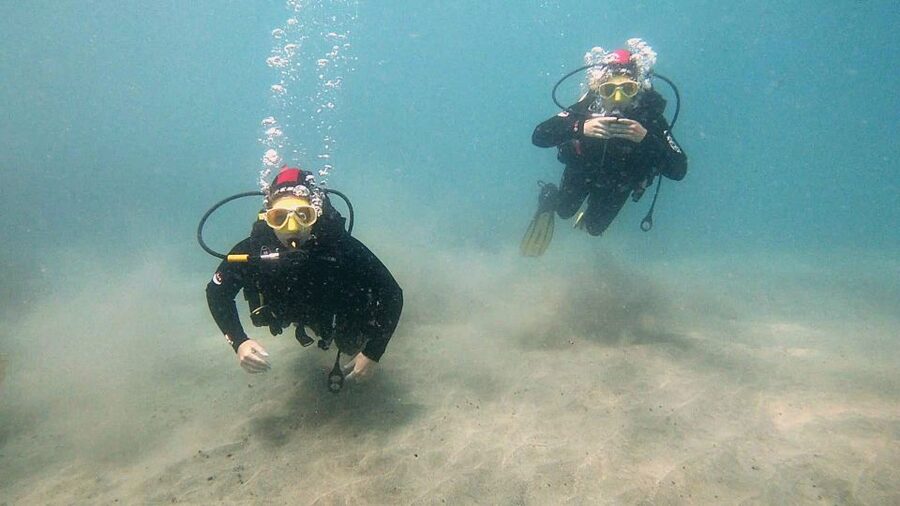 Fuerteventura: Introduction to Scuba Diving - What you’ll see: fish, starfish, stingray encounters, and more