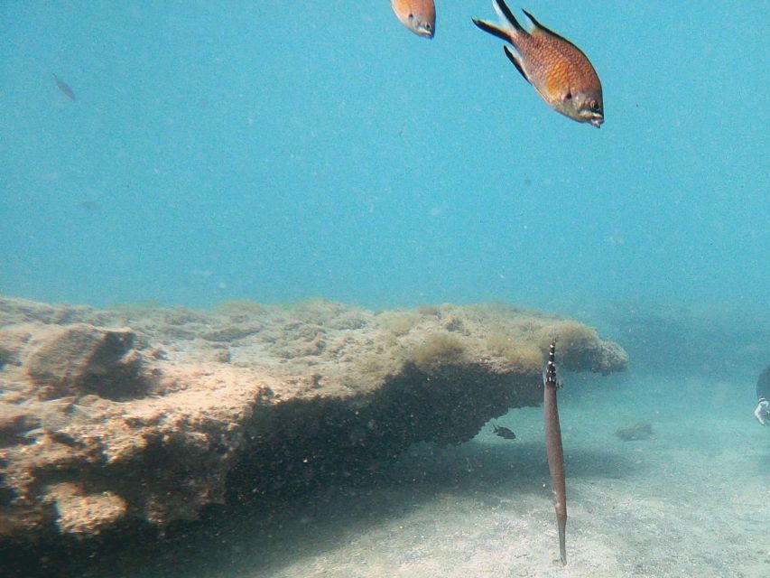 Fuerteventura: Introduction to Scuba Diving - Small-group coaching with Adam and Jibi: why it helps when you’re nervous