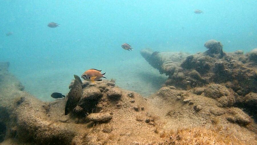 Fuerteventura: Introduction to Scuba Diving - Gear fit and comfort tips (especially mask fit and the hood issue)