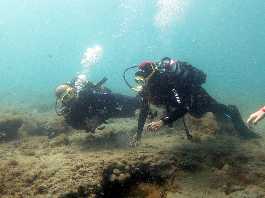 Fuerteventura: Introduction to Scuba Diving - Photos and video add-on: budget if you want a real keepsake