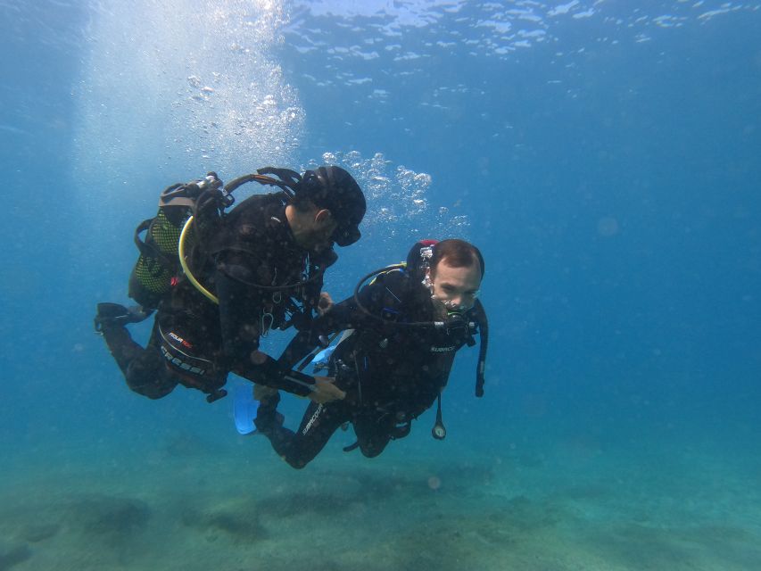 Fuerteventura: Introductory Dive in La Lajita with Pickup - Gear, Wetsuits, and Show-Up Checklist