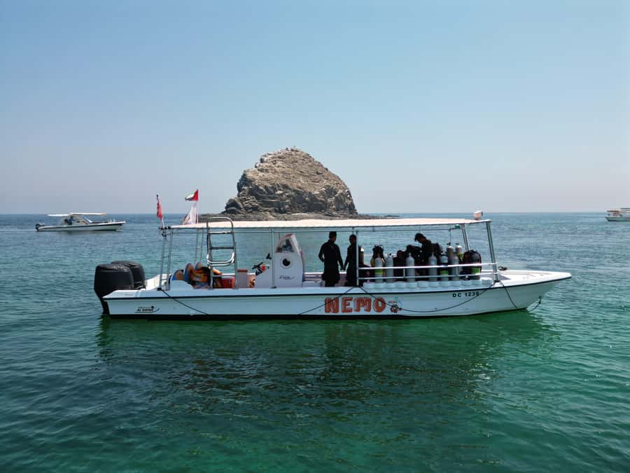 Fujairah: 2 Fun Dive Experience for Certified Divers - Dubai-to-Fujairah logistics: pickup is easy, ride time is not
