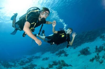 Fujairah: 2 Fun Dive Experience for Certified Divers - Price and what you actually get for $114 per person