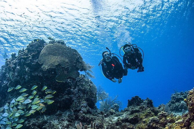 Fujairah: PADI Open Water Diver Course - Key Things That Make This Course Worth Your Time