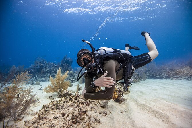 Fujairah: PADI Open Water Diver Course - Your 3 days in Fujairah: how the learning usually progresses