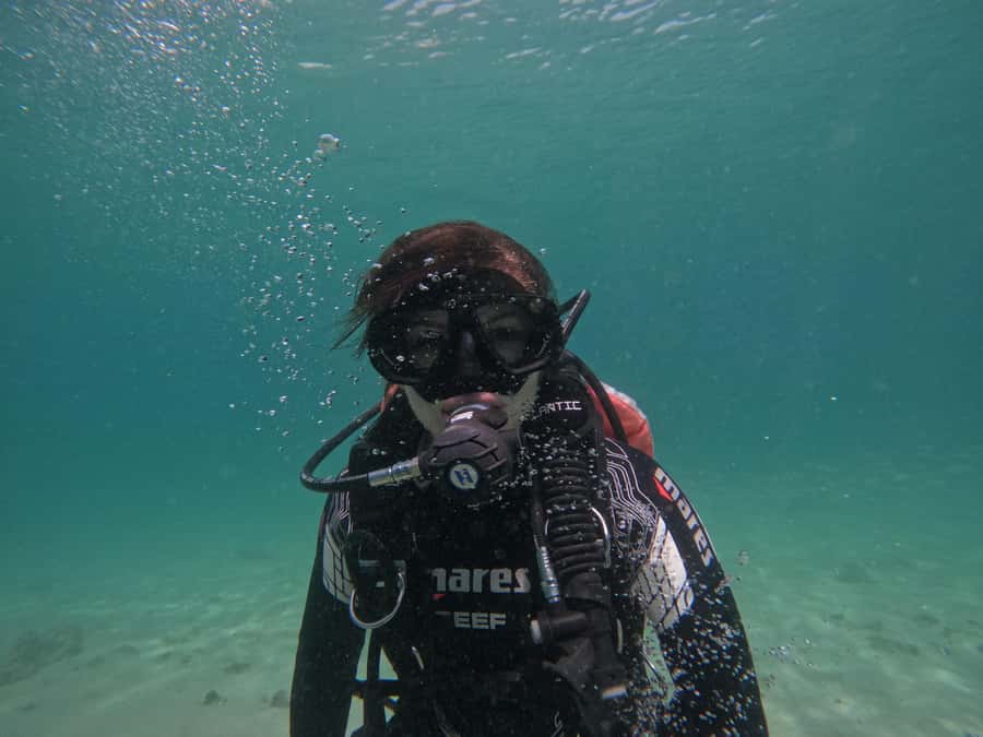 Fujairah: Try Diving Experience with underwater photos - Key things I’d bet on in Fujairah