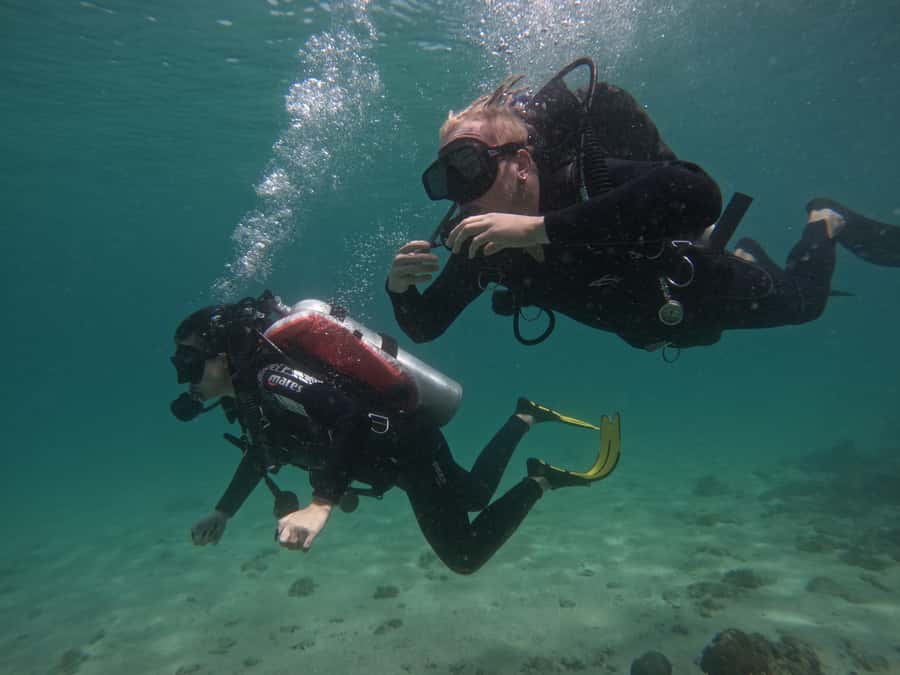 Fujairah: Try Diving Experience with underwater photos - One smart move: confirm the meeting-point distance first
