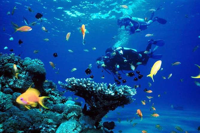 Full-Day Beginner Scuba Course with Private Tuition, Racha Yai - Pickup and timing: the day starts early for a reason