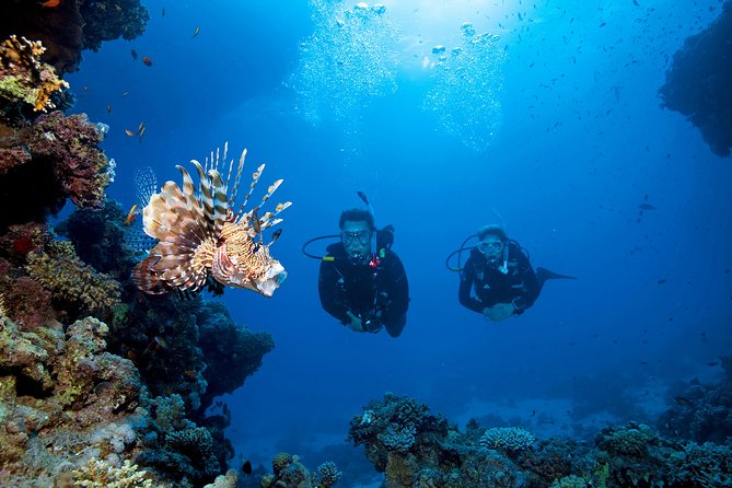 Full-Day Beginner Scuba Course with Private Tuition, Racha Yai - Koh Racha Yai: what two beginner sea sessions actually feel like