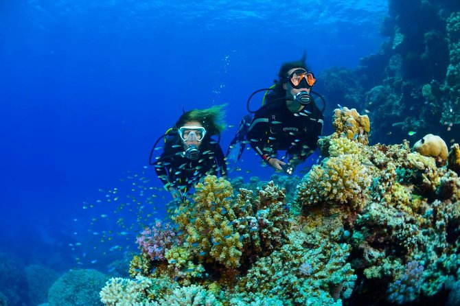 Full-Day Beginner Scuba Course with Private Tuition, Racha Yai - Meals, photos, and the small extras to budget